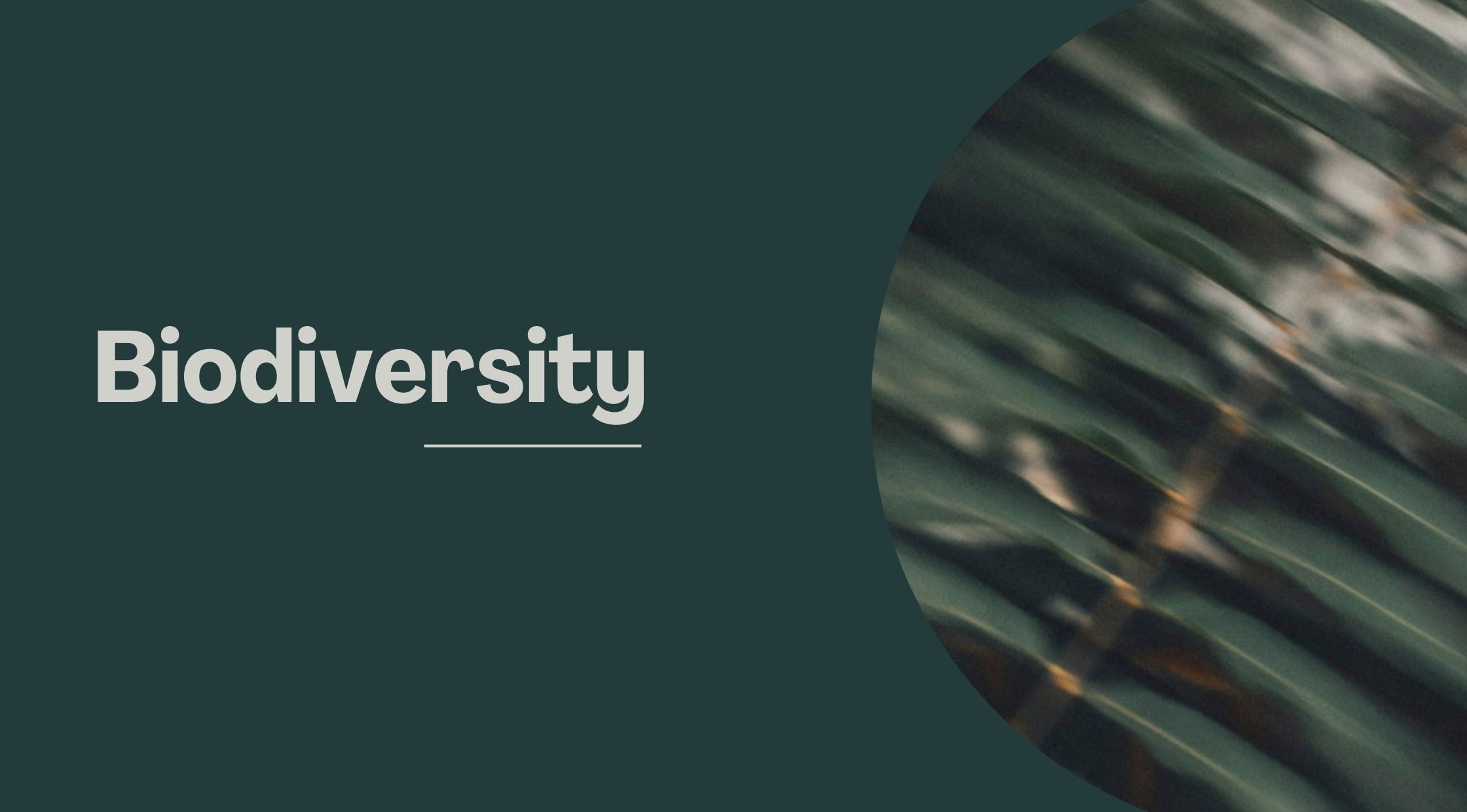 Biodiversity Meaning in Tamil